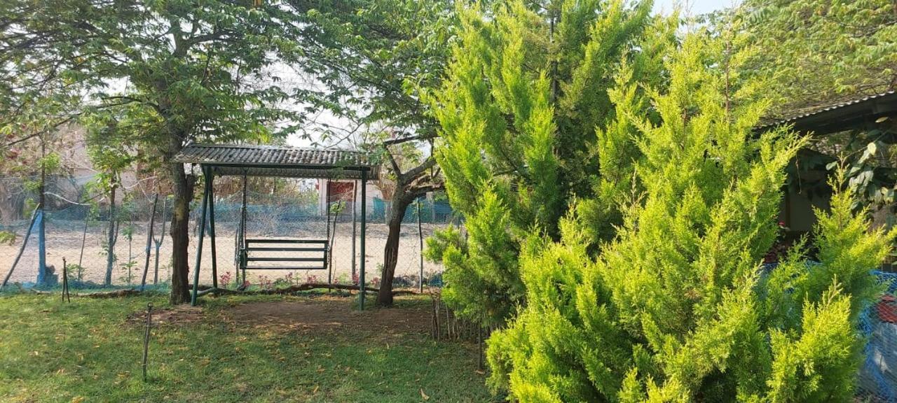 Green Hills Farm And Guest House 马西尼古蒂 外观 照片